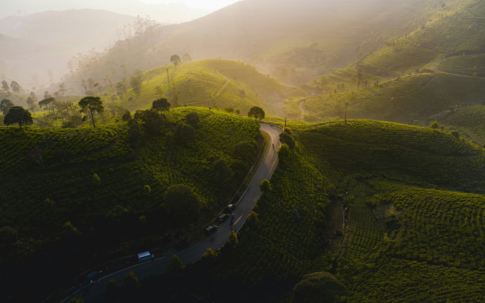 A car on a winding road through the Cukul tea plantation